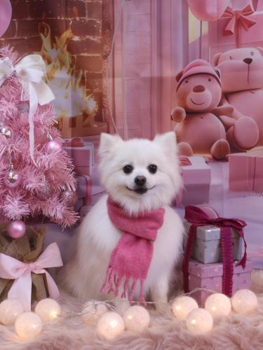 20241224ゆずちゃん